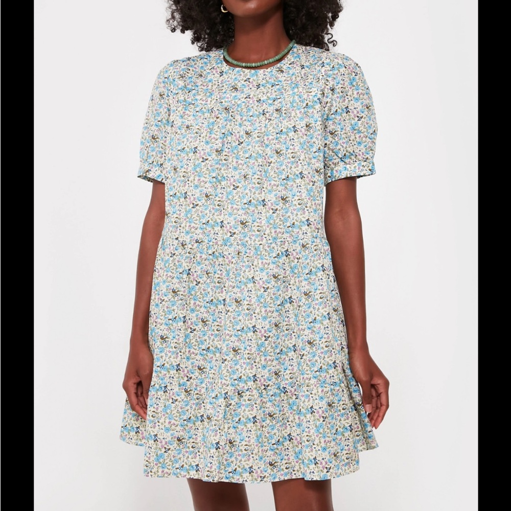 Floral Blue Dress
